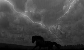 Would you rather ride a horse in a rainstorm every day or ride in perfect weather every week?