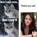 Who likes Kristen Stewart, the Actress (Bella of Twilight)