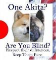 Which is best- The Japanese Akita or the American Akita?