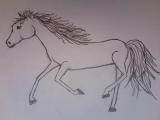 do you like the picture I drew of a horse?