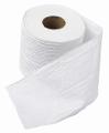What did people use before toilet paper was invented?
