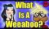 What is a Weeaboo ?