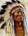 Do you think the Americans should have treated the Indians the way the Americans did.