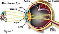 What is the resolution of the human eye in megapixels?