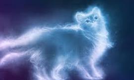 What is your patronus?