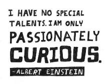 I am only passionately curious