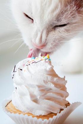 Cupcake_Kitty's Photo