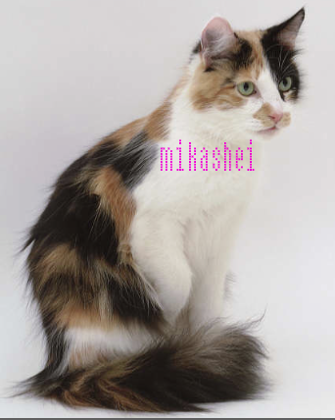 Mikashei's Photo