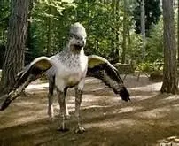 what color hippogriff are you?