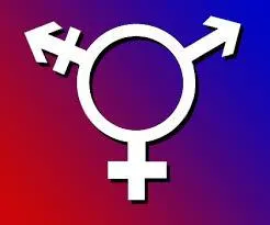 Are You A Lesbian, Bisexual, Or Straight?