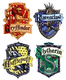 What Hogwarts house are you in? (2)