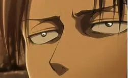 What does Levi think of you?