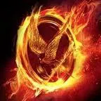 Which Hunger Games district are you from?