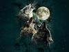 WolfsHowl098 WolfsHowl098