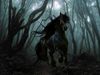 DarkHorse DarkHorse