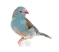 doihaveto
