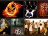 HungerGamesLover101 HungerGamesLover101