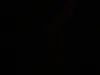 Torie_mead