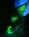 GreenROX101 GreenROX101