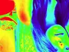 Tabby_Kaat