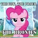brony418