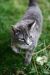 RiverKittyCat RiverKittyCat