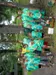 alizabeth222 alizabeth222