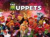 muppetlover18 muppetlover18