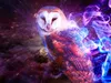 MysteriousRider5
