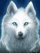 Spirit_Wolf Spirit_Wolf
