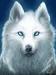Spirit_Wolf Spirit_Wolf