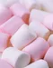 Marshmallow.Ocelot Marshmallow.Ocelot
