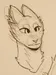 Veryspookyfox Veryspookyfox