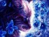 wolfgirl77 wolfgirl77
