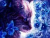 wolfgirl77 wolfgirl77