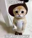 Salty_Cupcake Salty_Cupcake