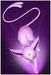 catdragonlover catdragonlover