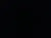 Sya_12