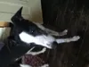 ella4o12 ella4o12