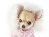 sadie8111 sadie8111