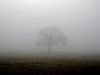 Shrouded_in_Mist Shrouded_in_Mist