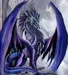 Aquila