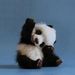 PandaCharlottexx PandaCharlottexx
