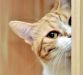 badasskitty badasskitty