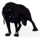 darkWolfDream darkWolfDream