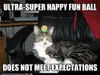 warriorcats warriorcats
