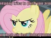 fluttershyrocks2 fluttershyrocks2