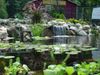 watergardens watergardens