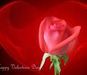 redrose429 redrose429