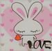 Bunnysleepy93 Bunnysleepy93